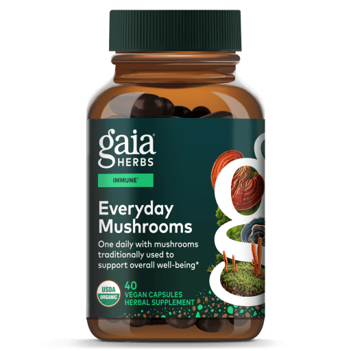 Everyday Mushrooms