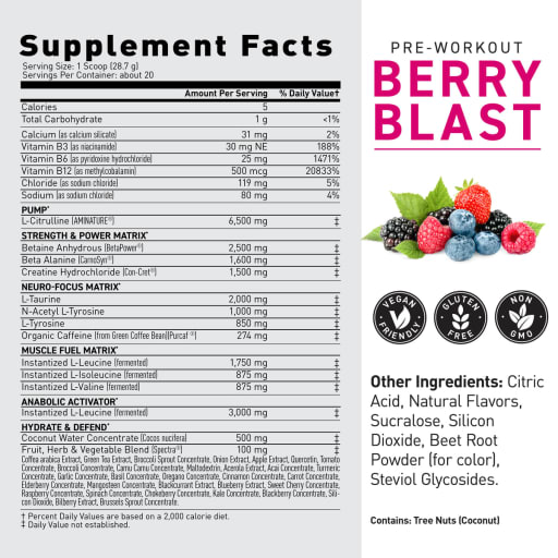 Pre-Workout (Berry Blast)