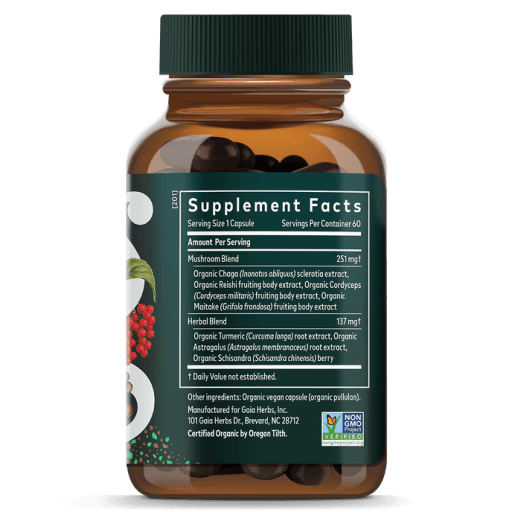 Everyday Mushrooms & Herbs