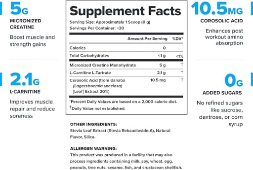 Recharge Post-Workout Creatine (Unflavored)