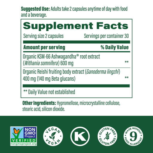 Superfood Mushroom Stress Relief