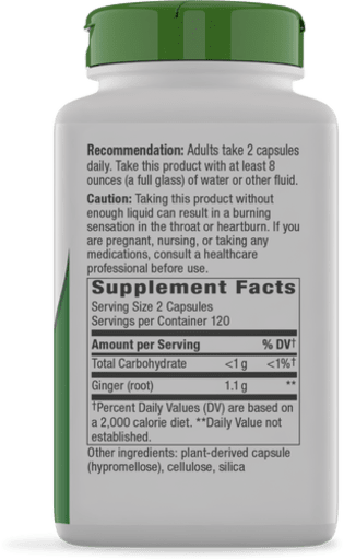 Ginger Root 1,100 mg