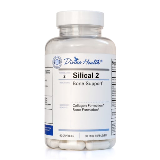 Silical2 Bone Support