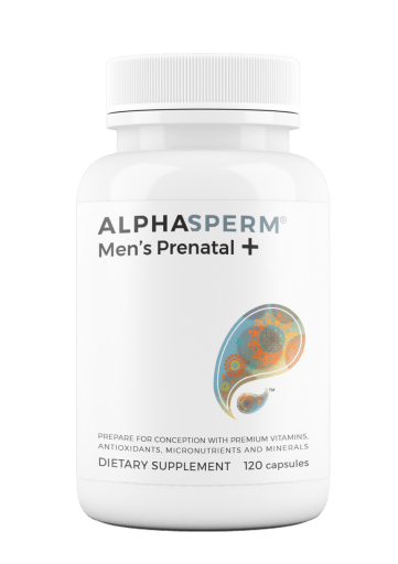 Men's Prenatal