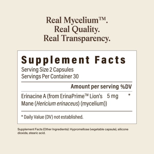 Real Mycelium Pure Lion's Mane Mycelium