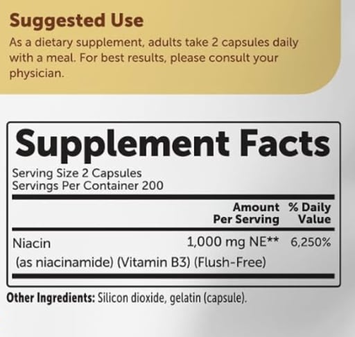Vitamin B3 Niacinamide 1000 mg