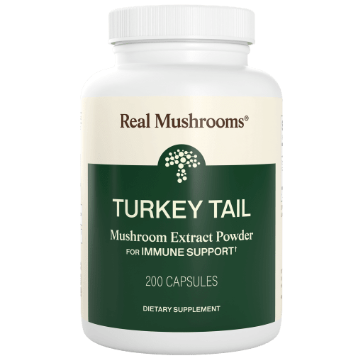 Turkey Tail Capsules