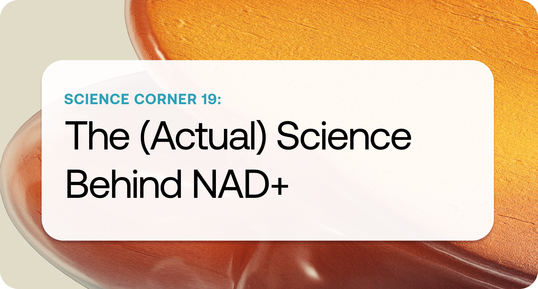 Science Corner 19.png Science Corner 19.png