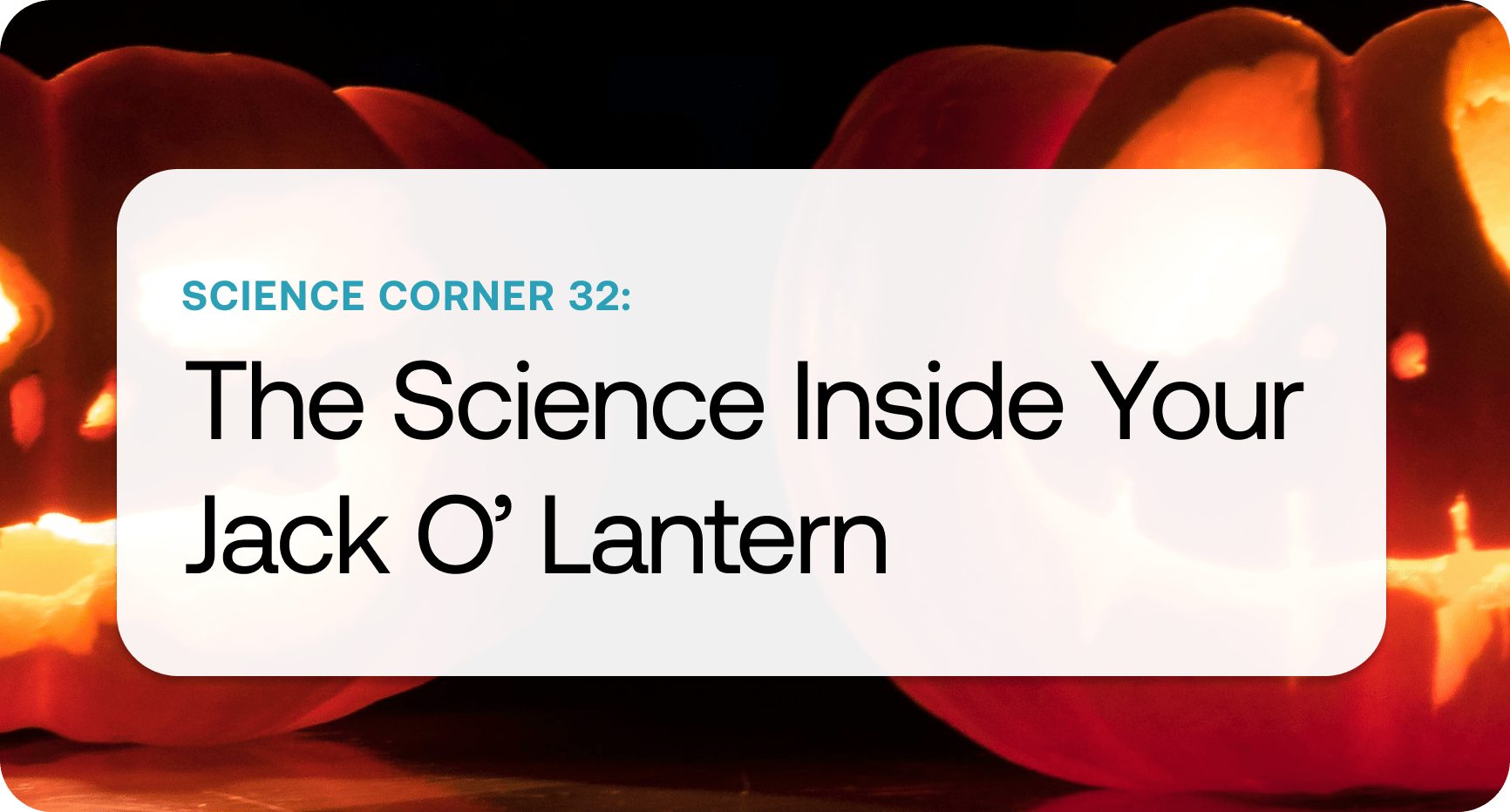 Science Corner 32.png