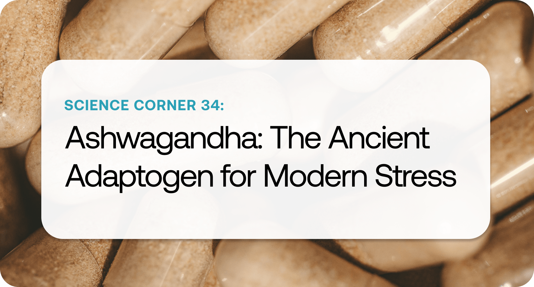 Science Corner 34.png Science Corner 34.png