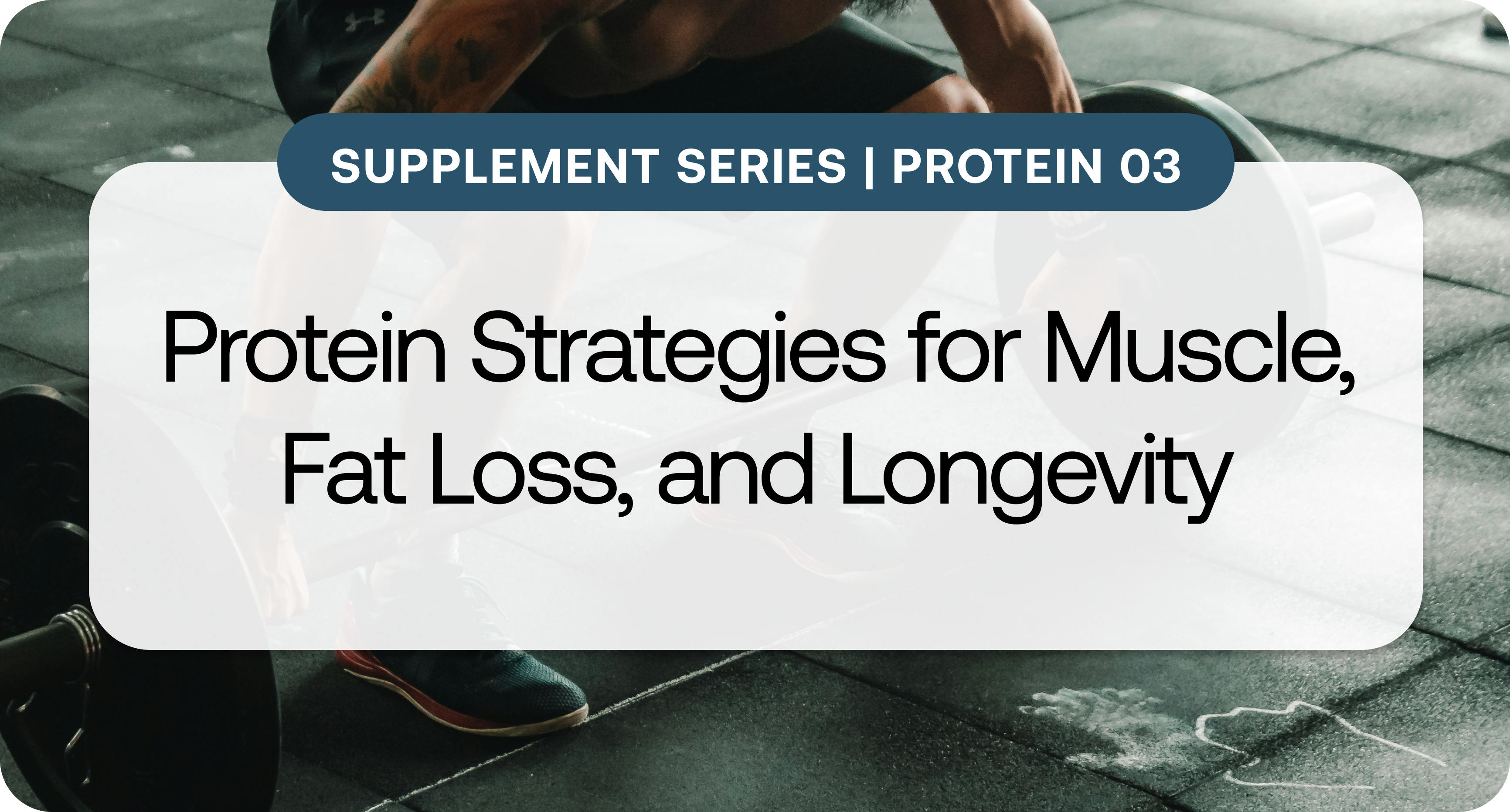 Supplement Series_ Protein 3.png