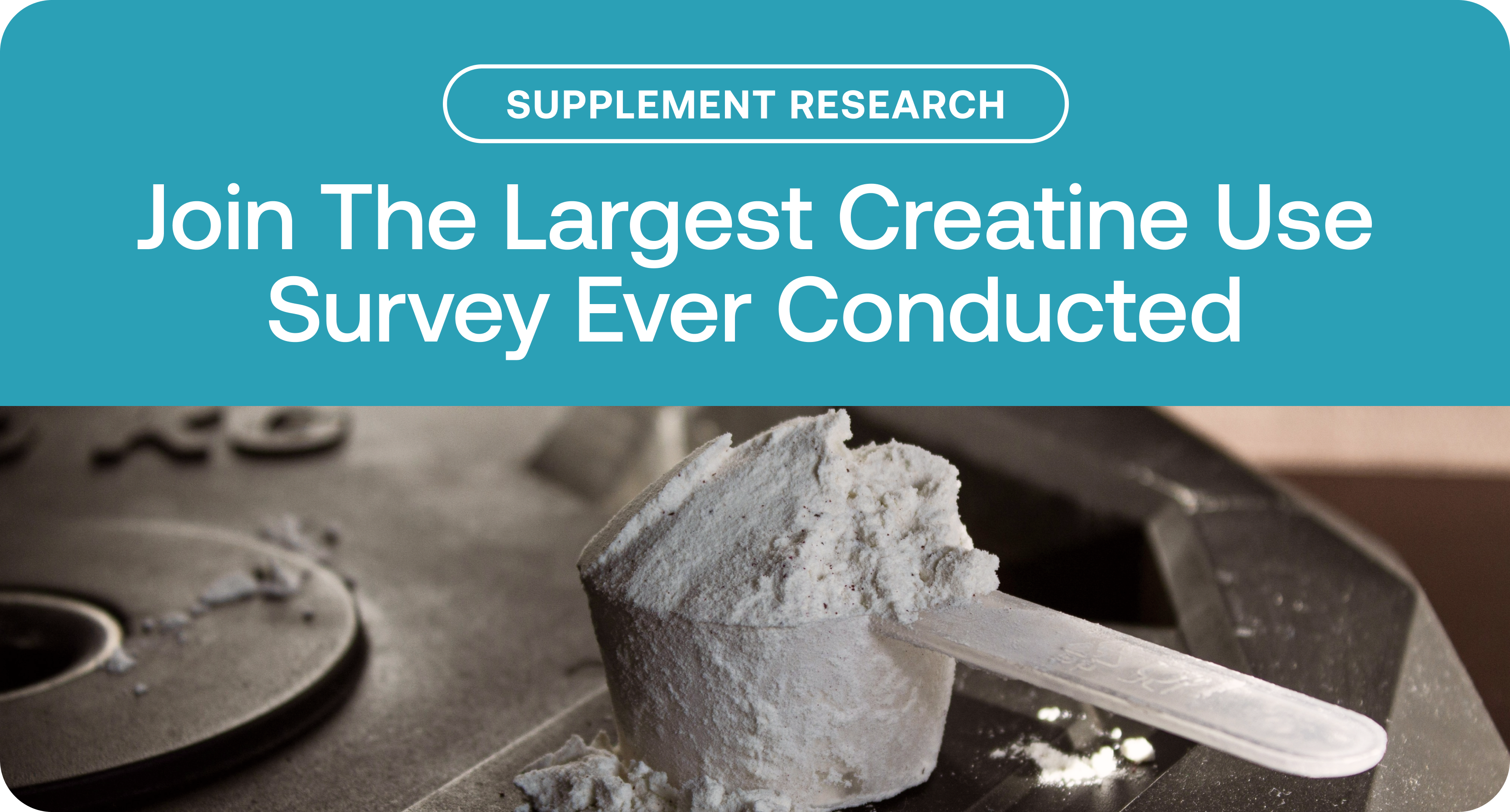 supp research_ Creatine 01.png