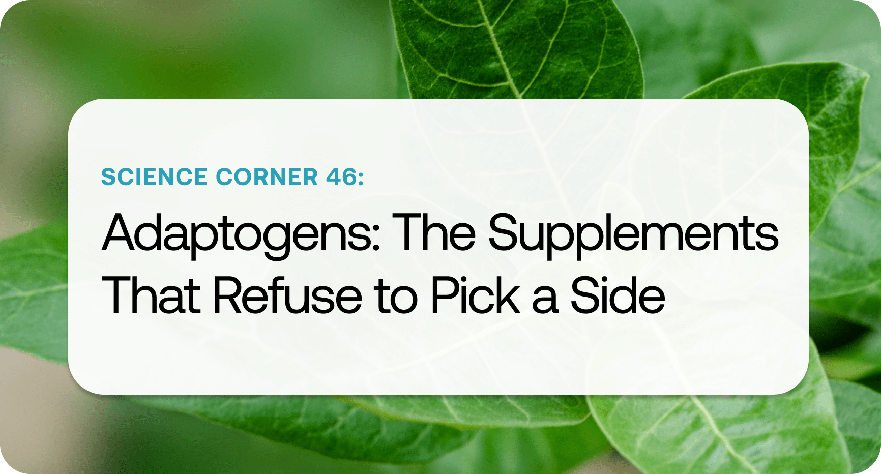 Science Corner 46.png Science Corner 46.png