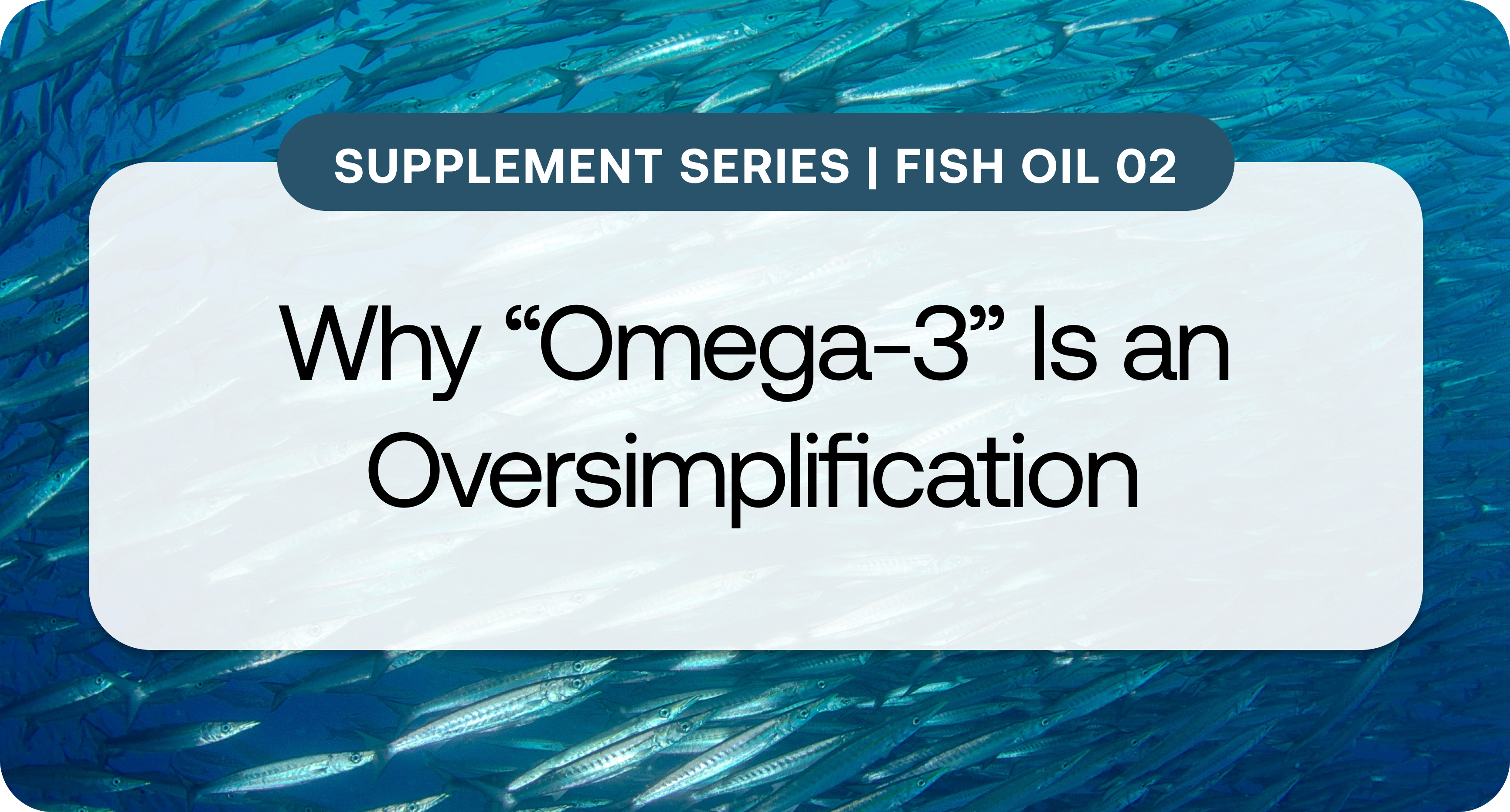 Supplement Series_ Fish Oil 02.png