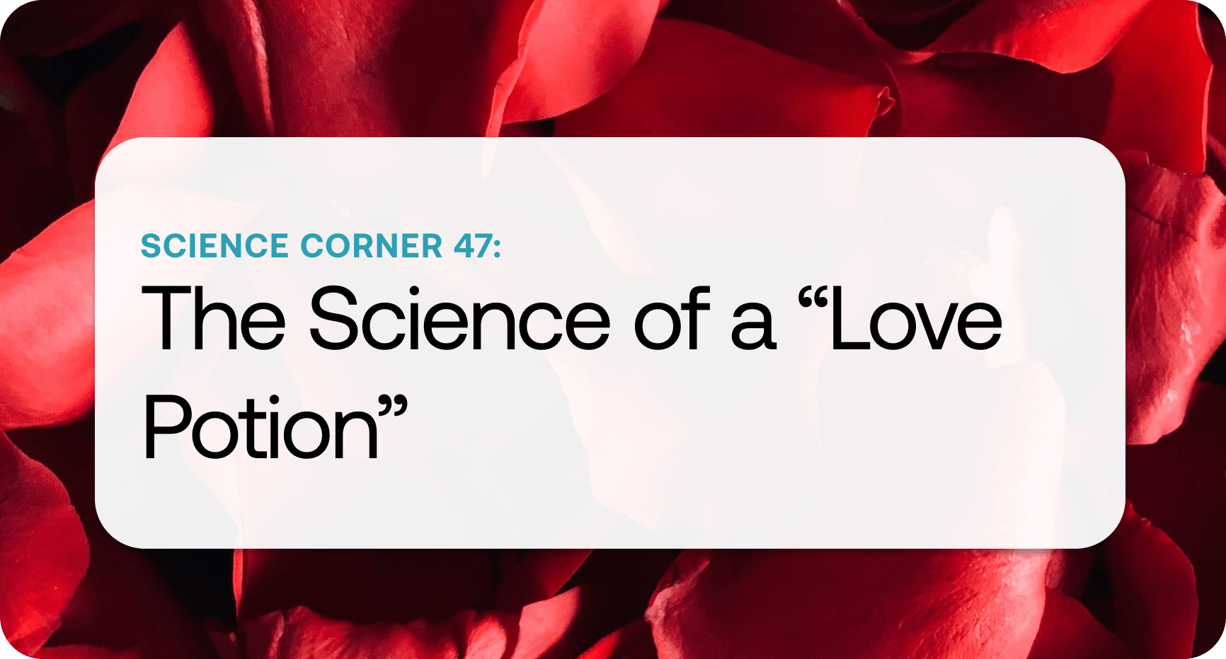 Science Corner 47.png