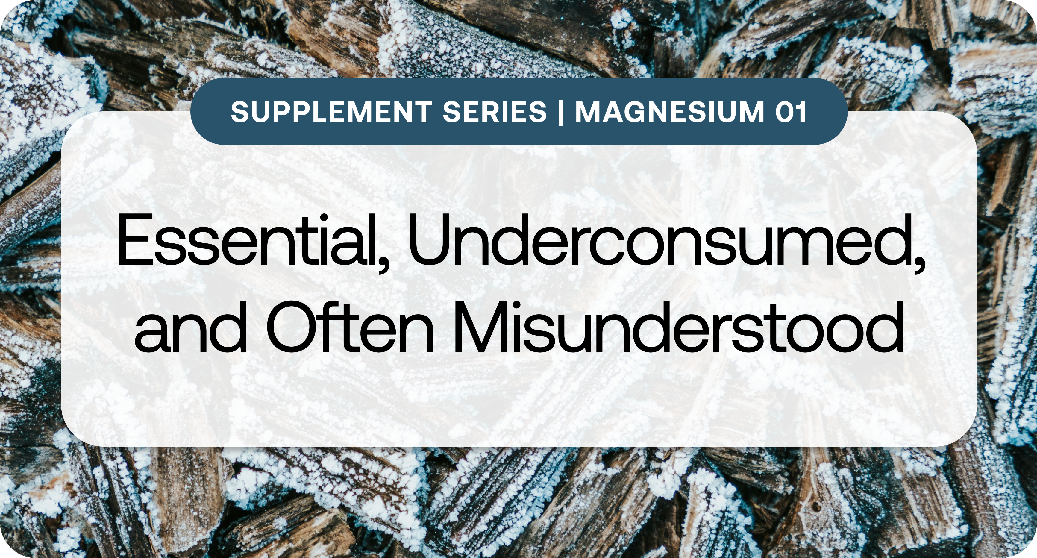 Supplement Series_ Magnesium 1.png
