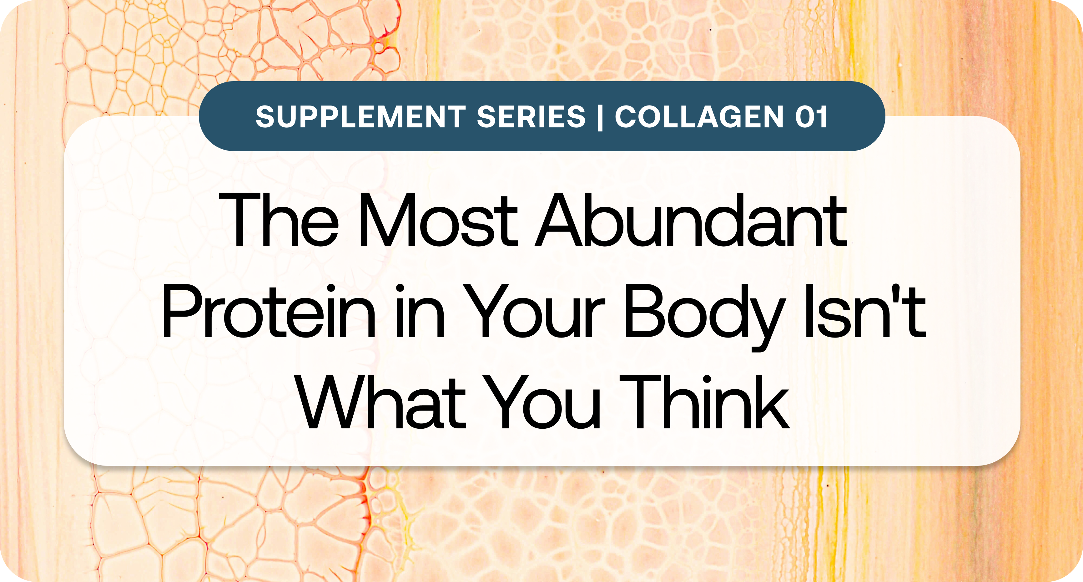 Supplement Series_ Collagen 1.png Supplement Series_ Collagen 1.png