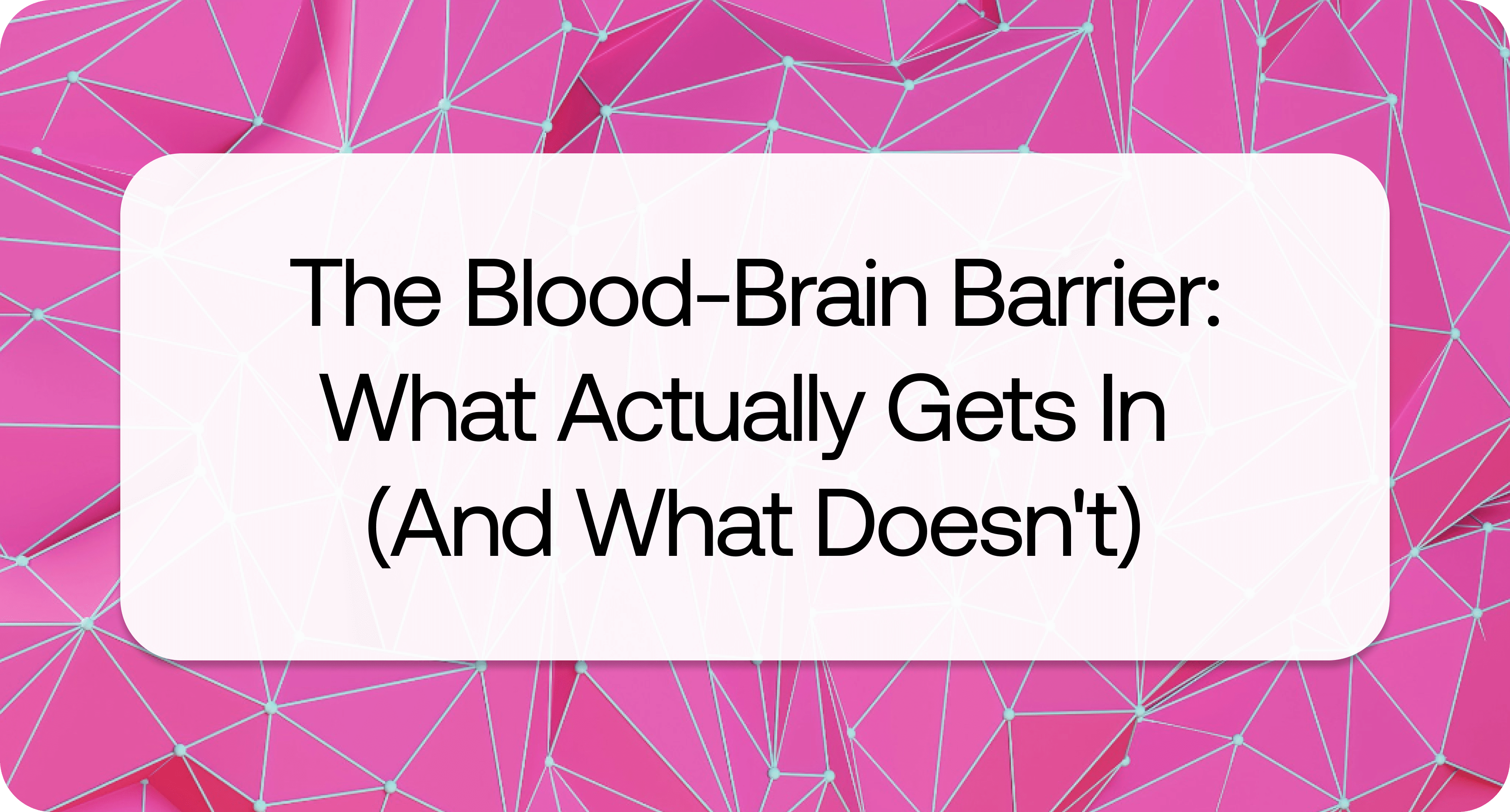 blood brain barrier.png