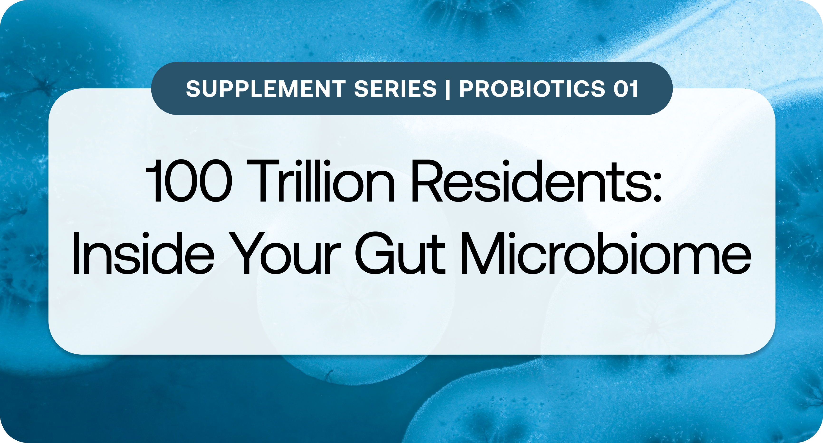 Supplement Series_ Probiotics 01.png