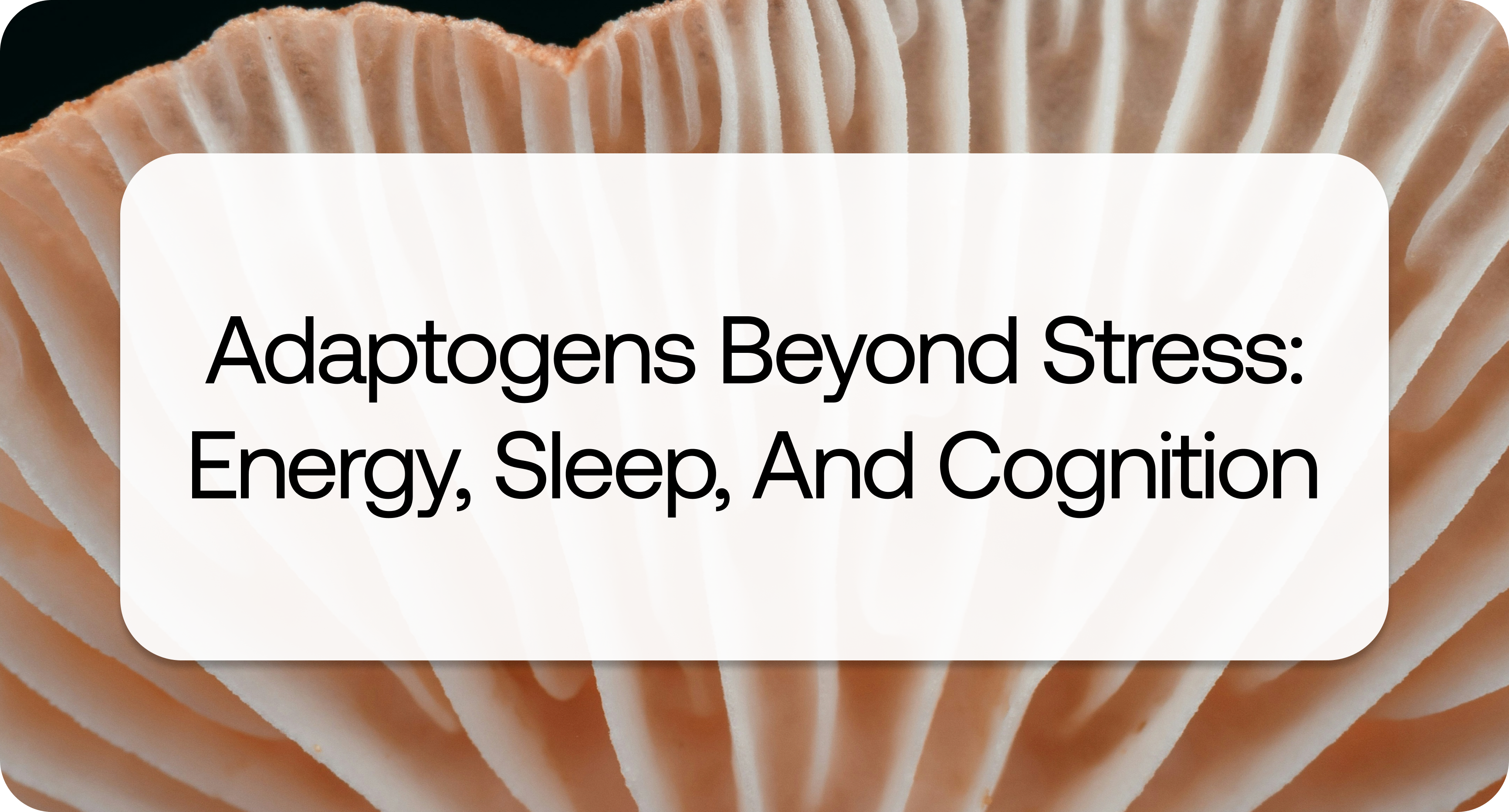 Adaptogen.png Adaptogen.png