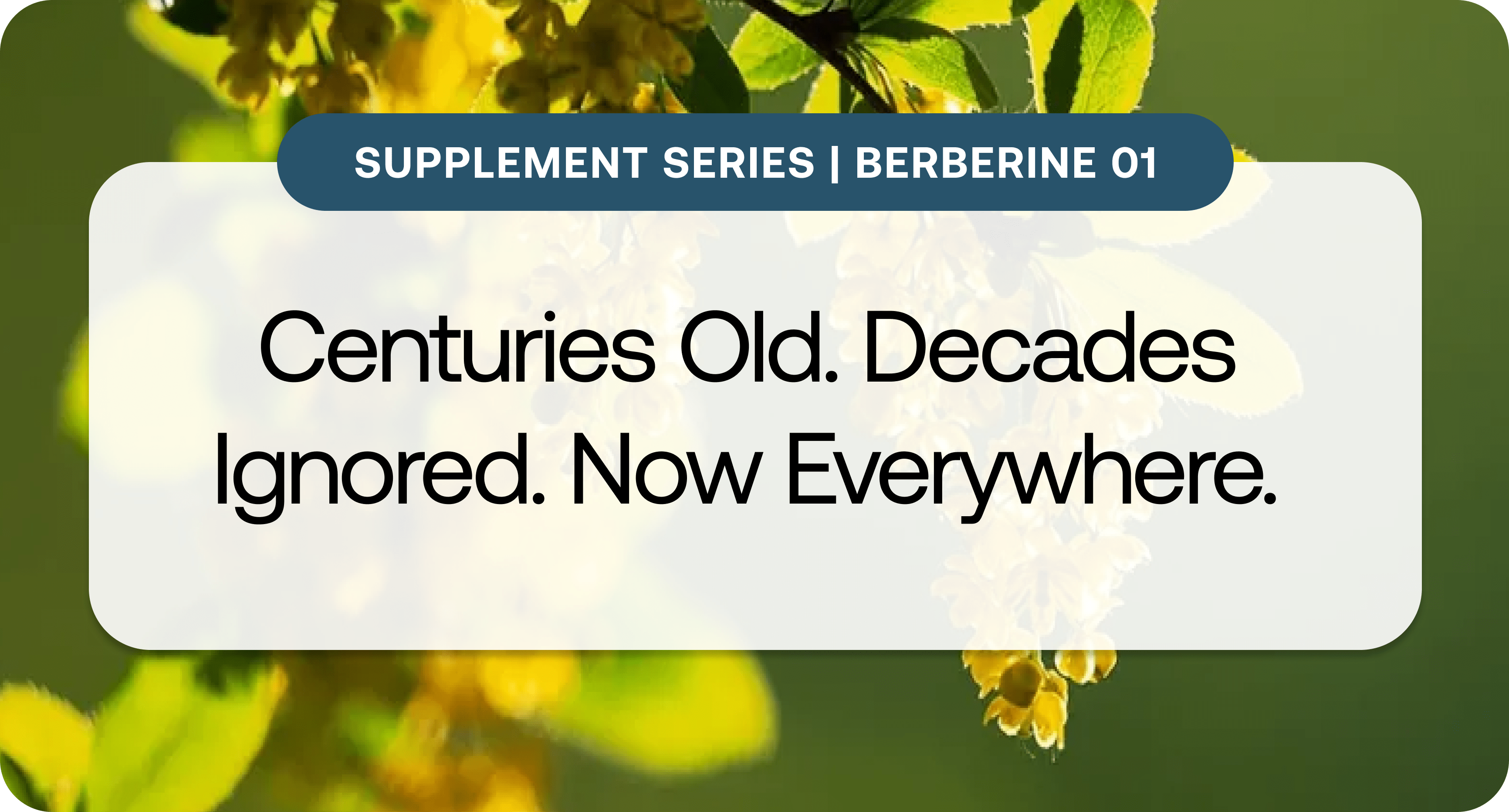 Supplement Series_ Berberine 1.png