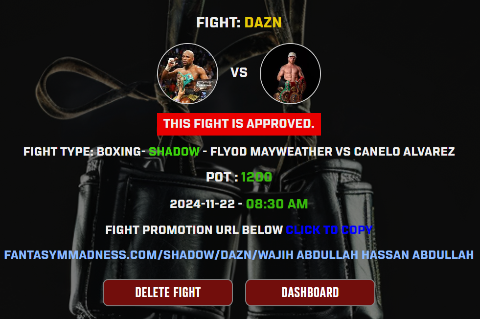 Fight Details Page Guide