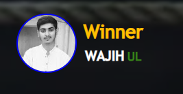 Completed Fight Winner Guide