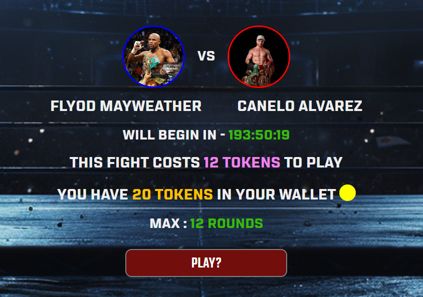 Fight Details Page Guide