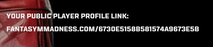 Public Player Profile Link Guide