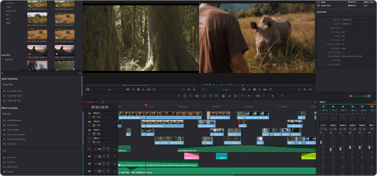 Video Bewerking