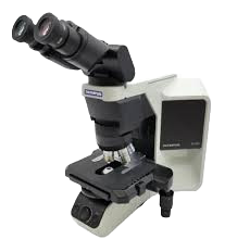 Olympus BX Series