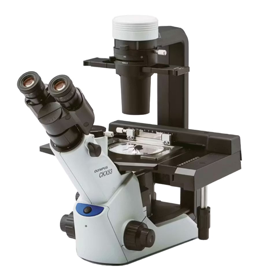 Olympus CKX53