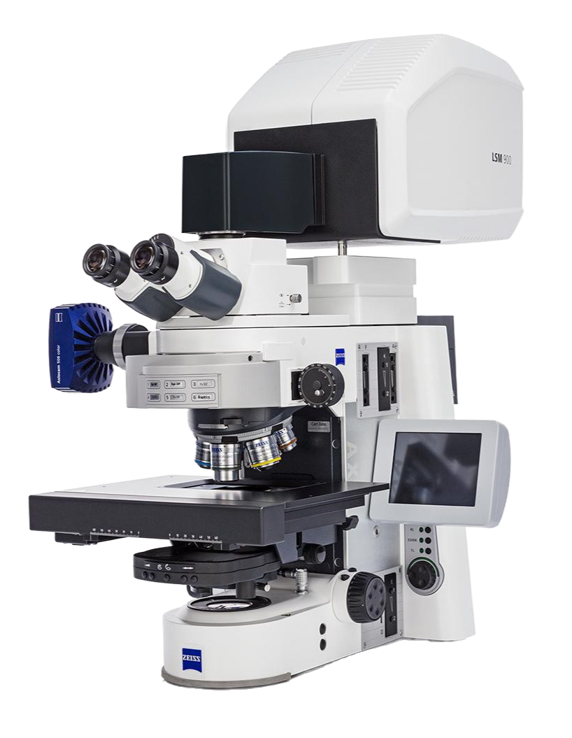 Zeiss LSM Series