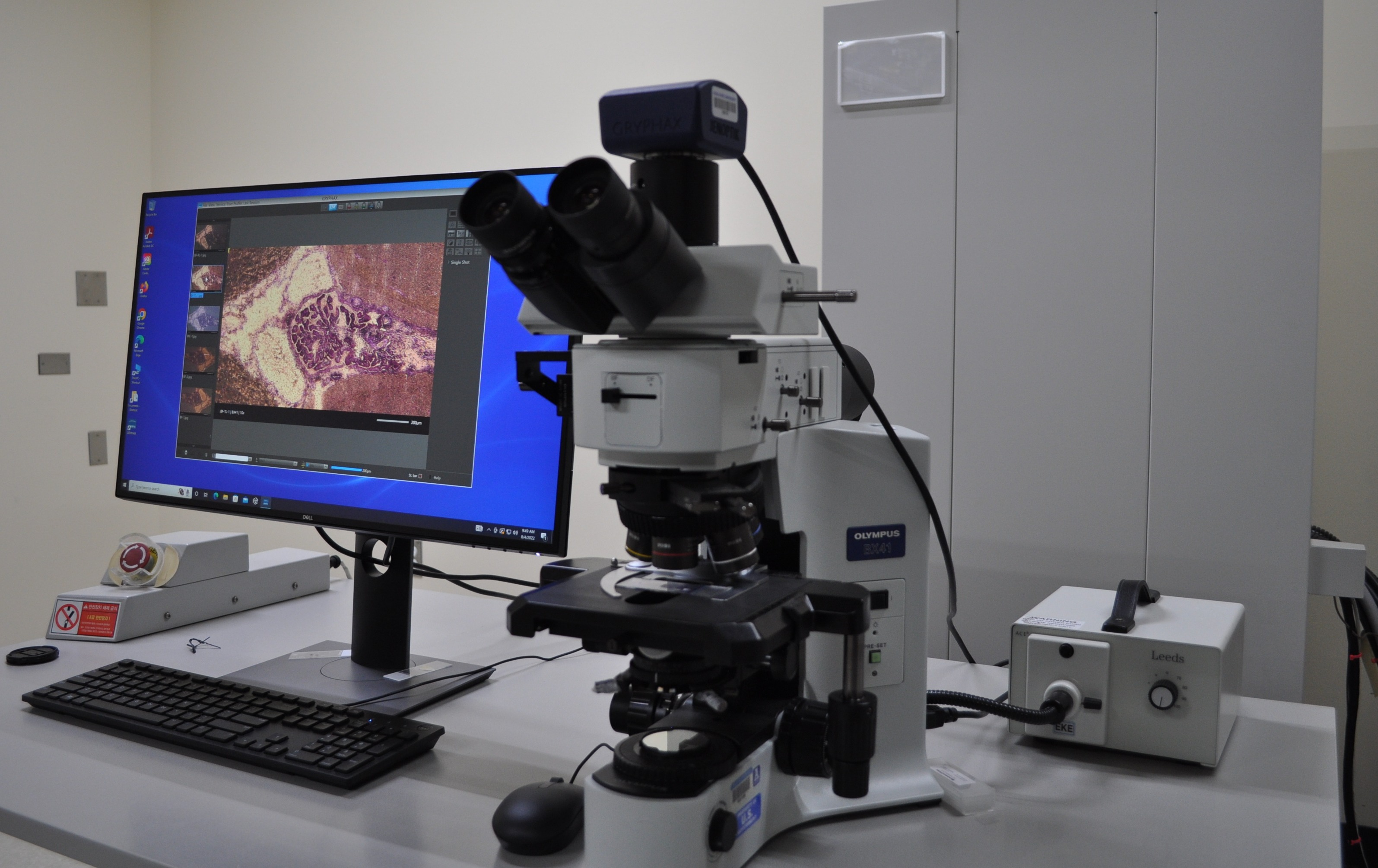 Olympus BX Series Microscope