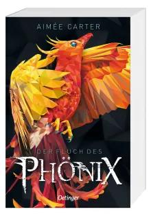 Der Fluch des Phönix, 9783751202916