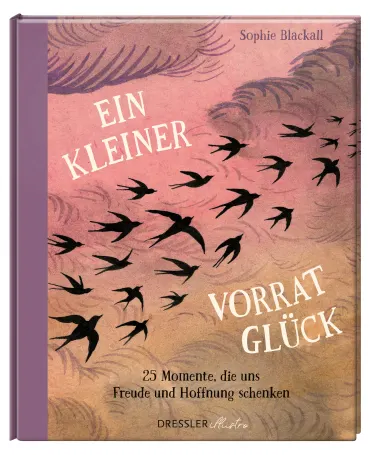 Ein kleiner Vorrat Glück, 9783690380157