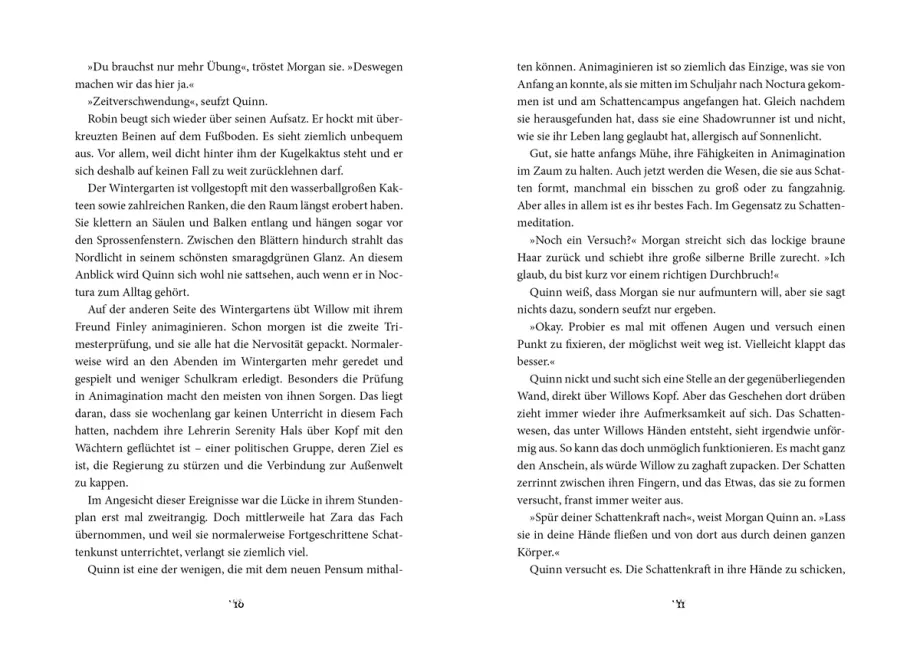 Shadowrunner 2. Die Magie von Licht und Schatten, 9783751206679