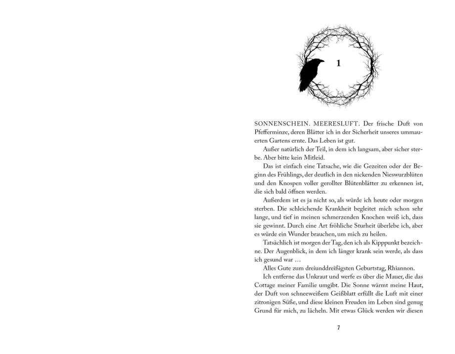 Upon a Broken Throne 1. King of Ravens, 9783969761106