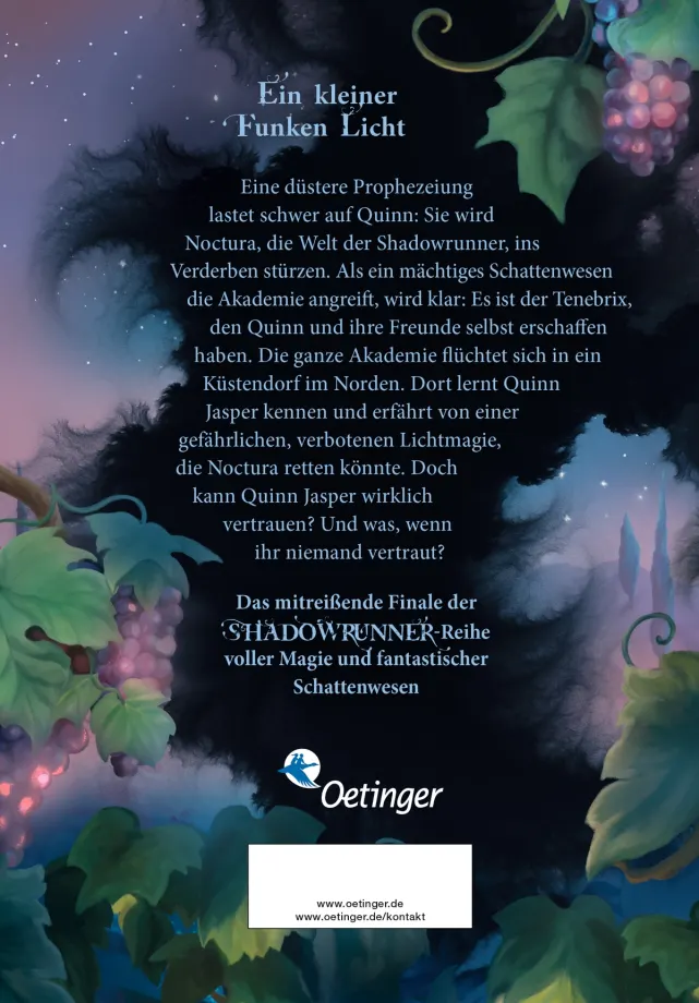 Shadowrunner 2. Die Magie von Licht und Schatten, 9783751206679