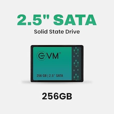 Buy EVM 256GB 2.5 Inch SATA III Internal SSD | Up to 550MB/s Read 500MB/s Write | Laptop Desktop Upgrade Storage  online at best price - Computer9