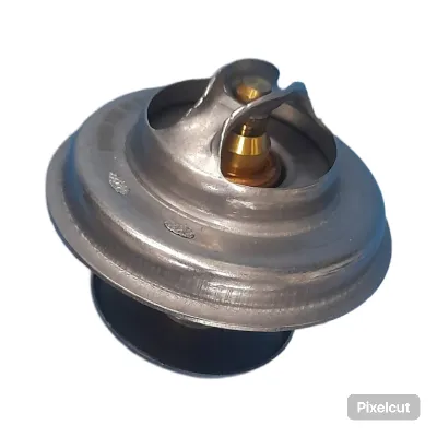 Termostato Valclei para Iveco