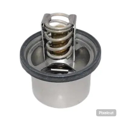 Termostato MAHLE para Iveco