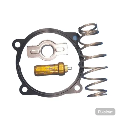 Termostato MAHLE para Iveco