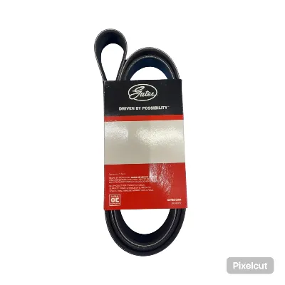 Correa Poly v con A/A Gates para Iveco