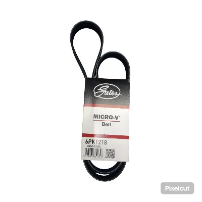 Correa Poly v Gates para Iveco