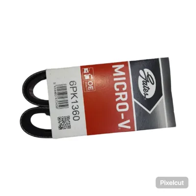 Correa Poly v  Gates para Iveco