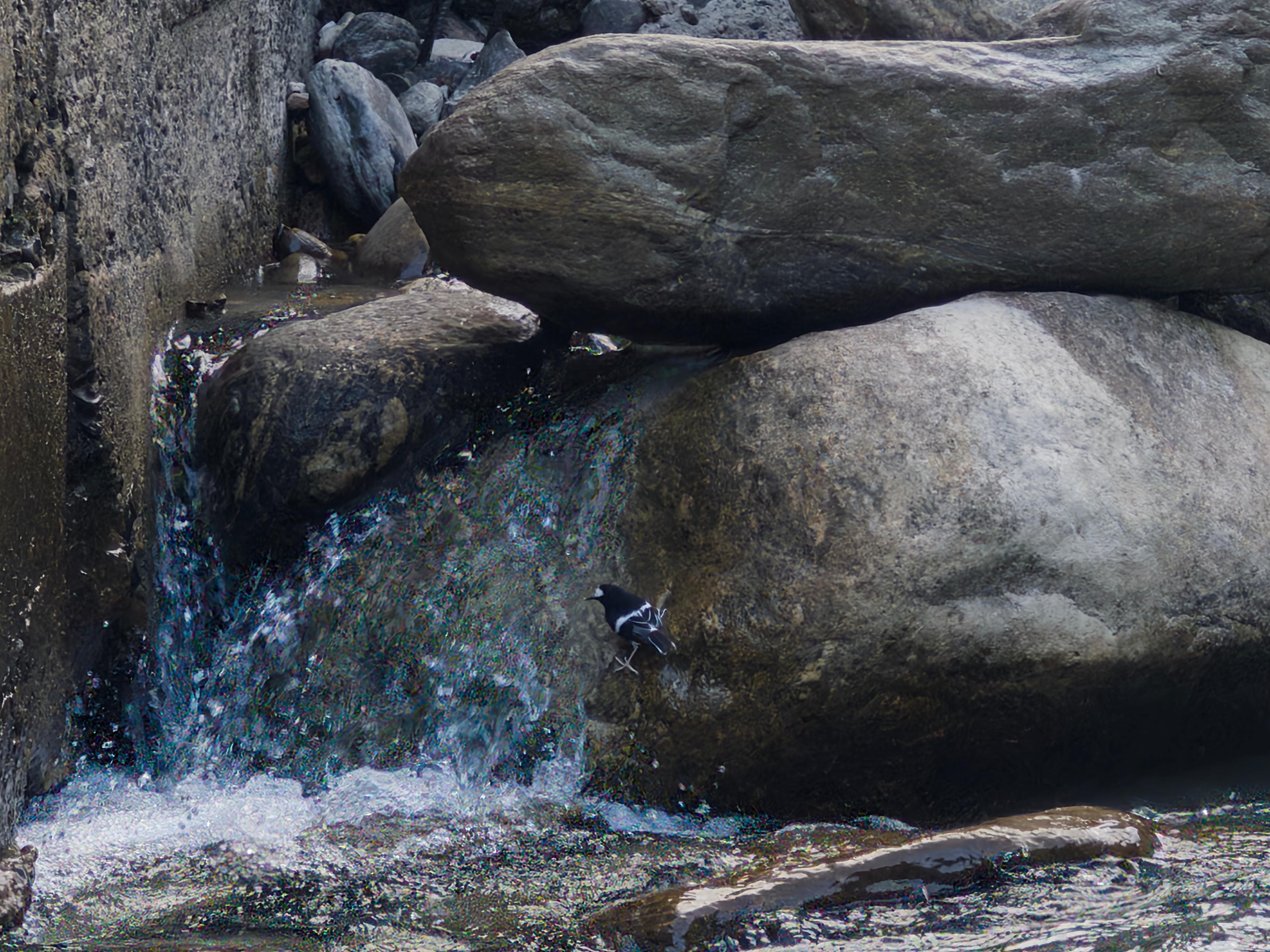 A Living Tapestry of Tradition