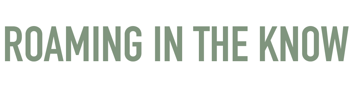 Logo Text