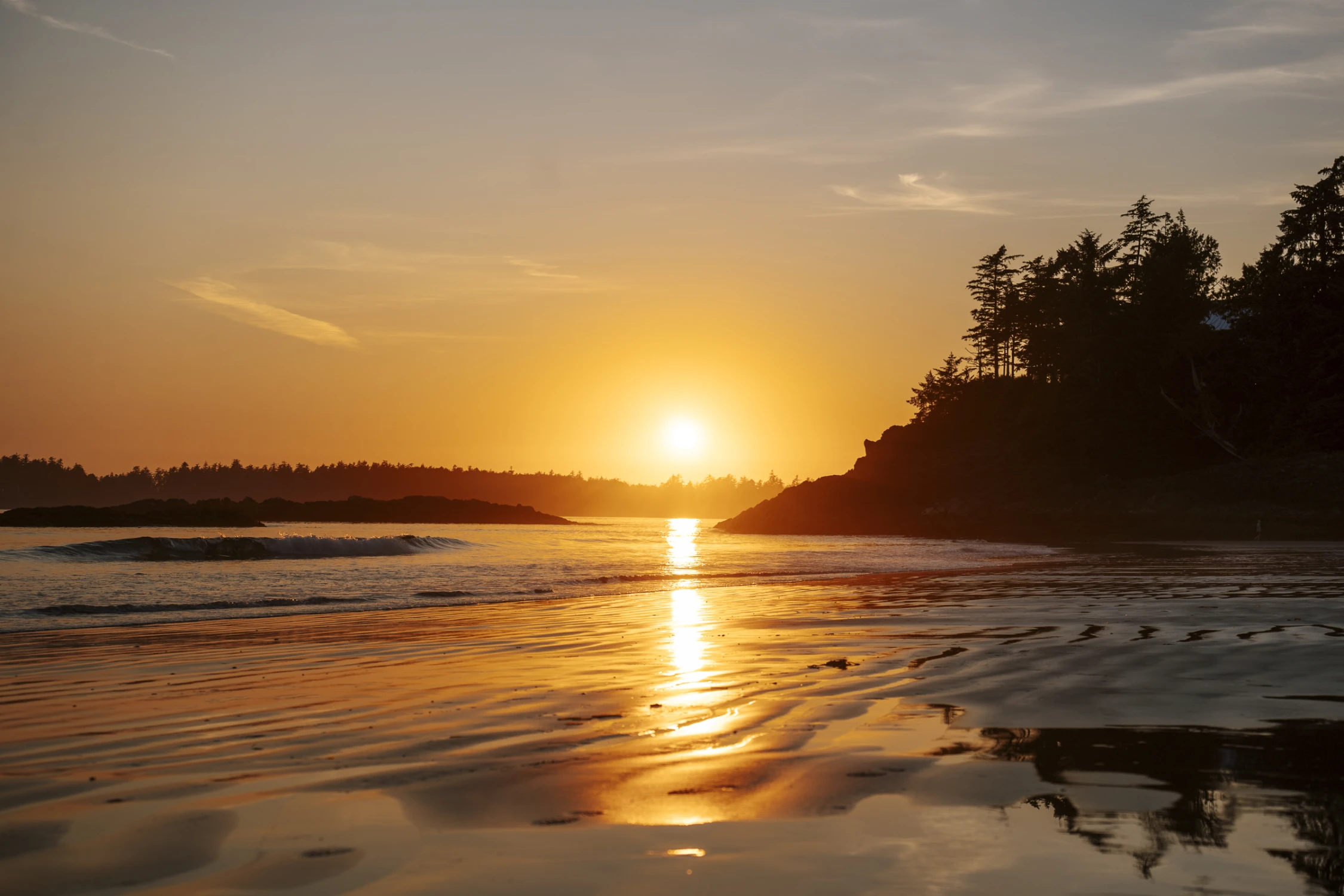 15 Best Things to Do in Tofino, British Columbia (2025 Guide)