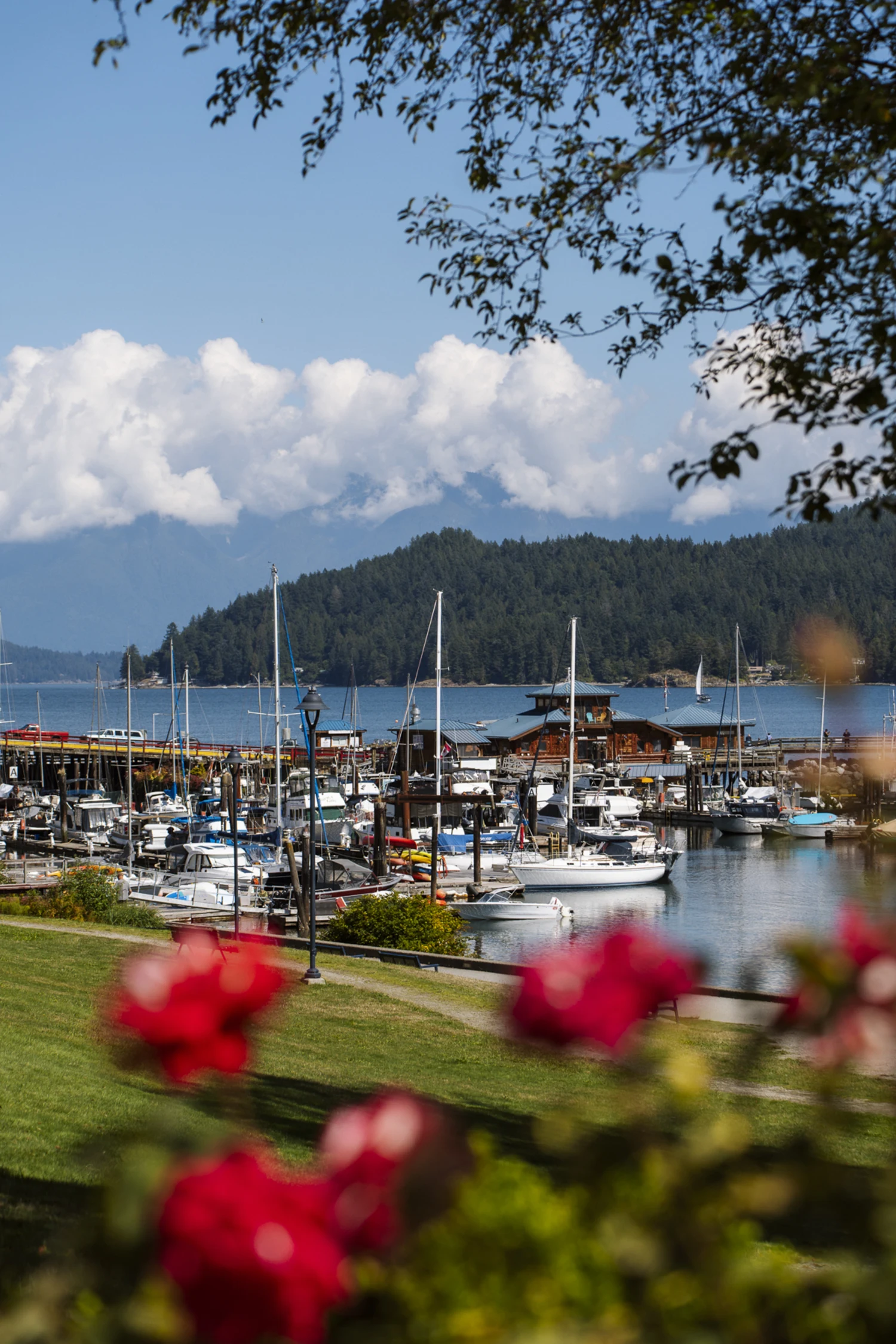 Cover image for 16 Best Things to Do in Gibsons, British Columbia (2025 Guide)